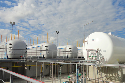 Renewable Liquefied Natural Gas